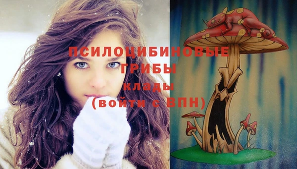 круглые Алексеевка