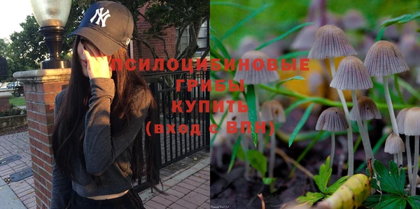 круглые Алексеевка